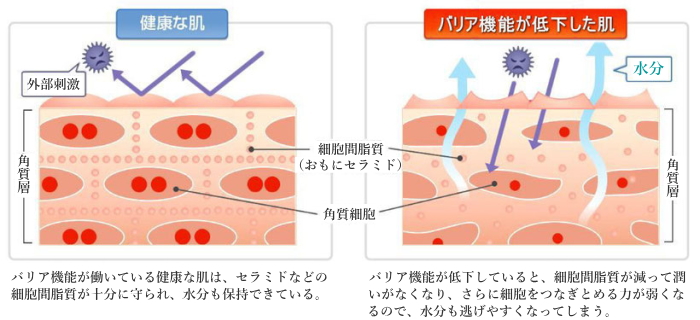 皮膚とVG7量子水
